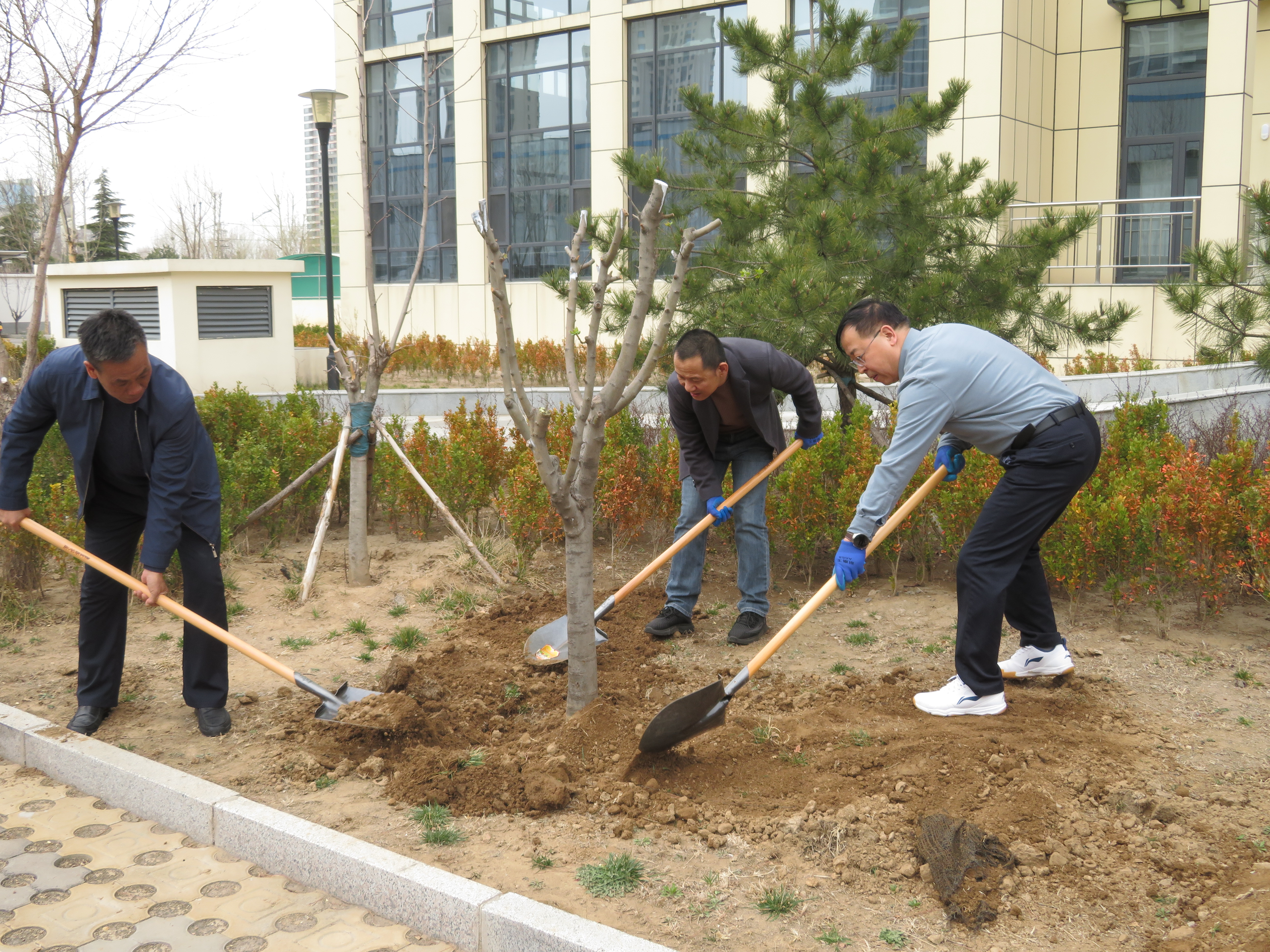 IMG_1028.JPG IMG_1028.JPG