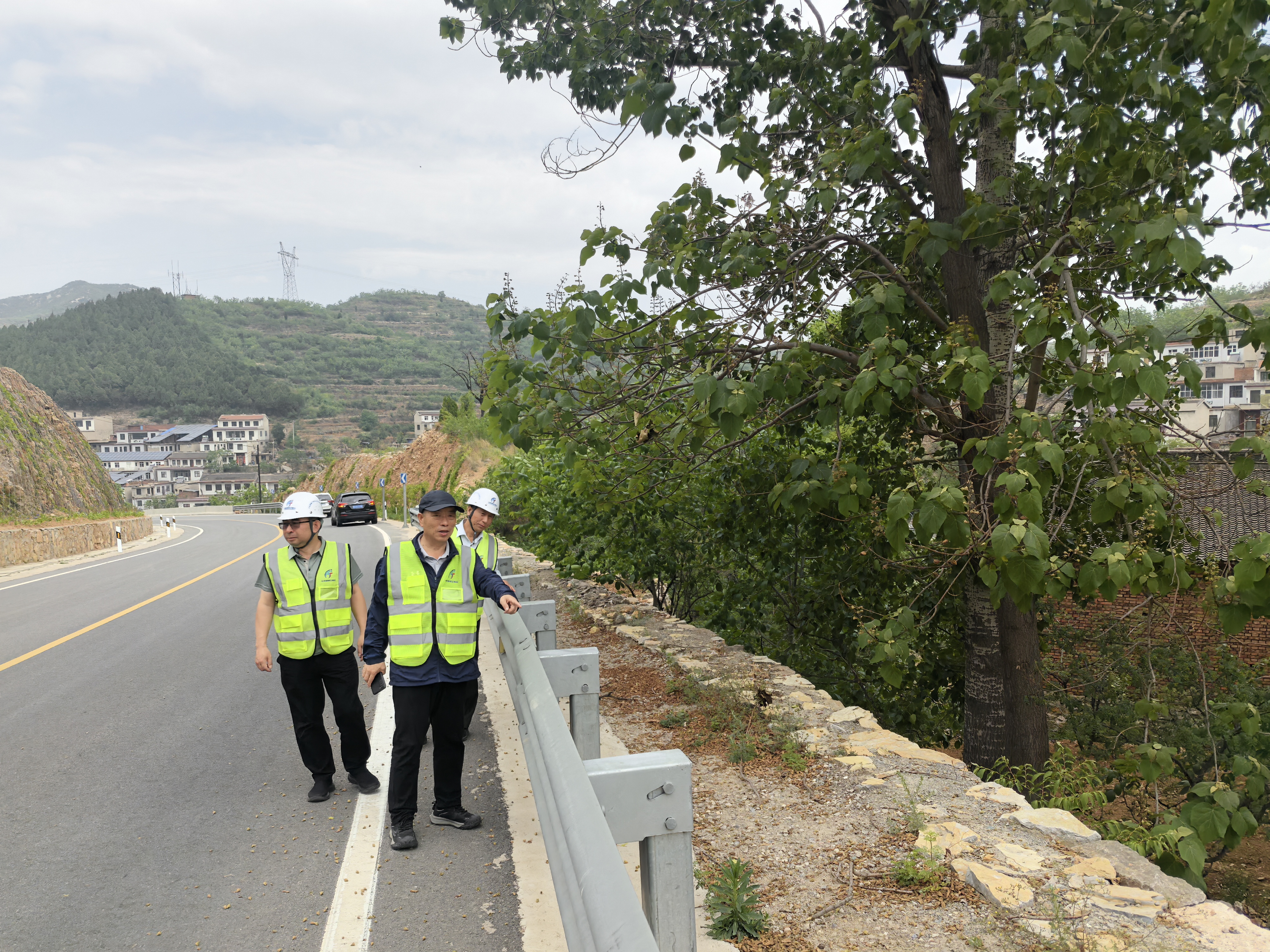 1747213271354.jpg 1747213271354.jpg