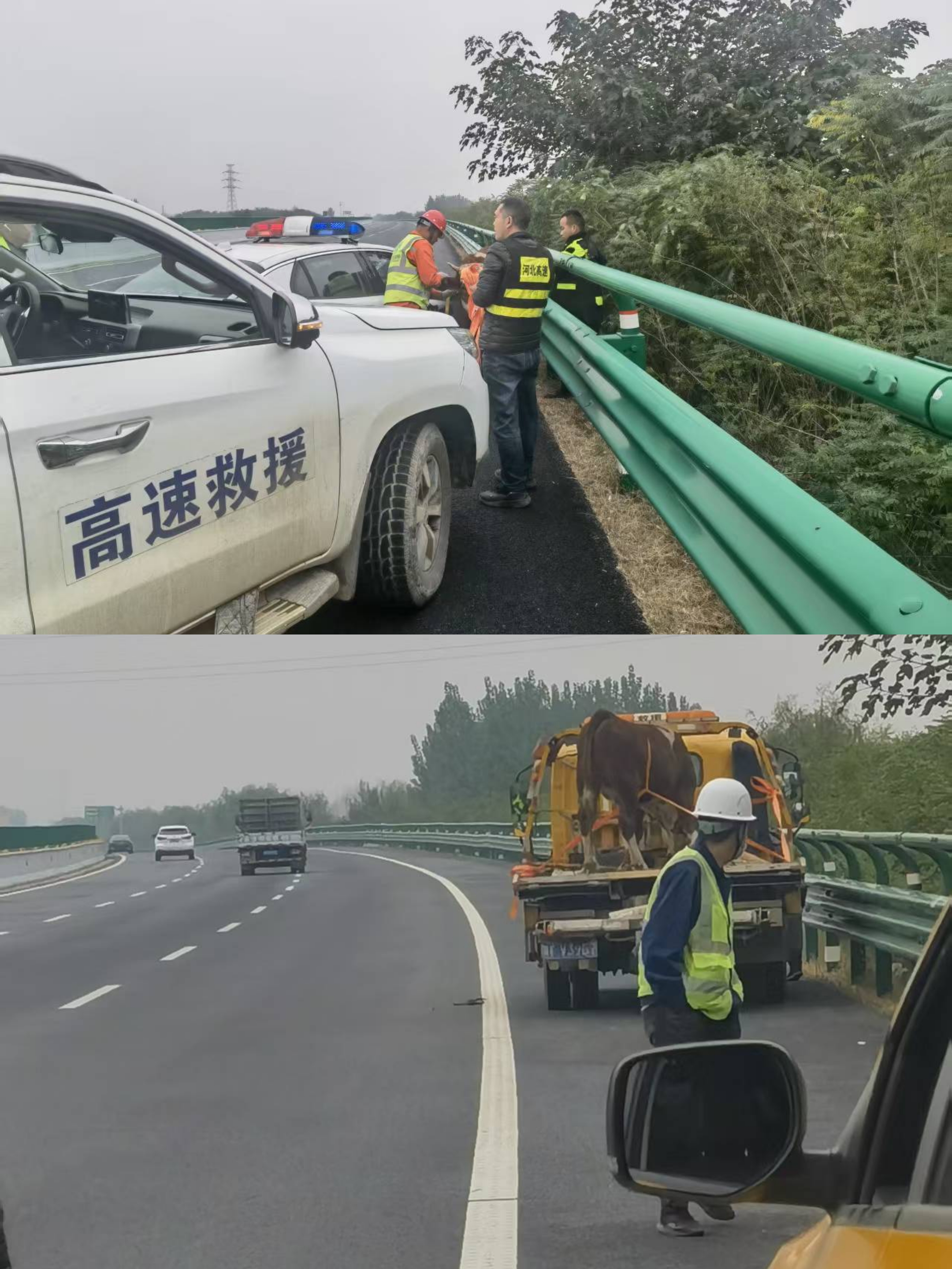 3c50a4f49d726736b681e033ef7186fe.jpg 3c50a4f49d726736b681e033ef7186fe.jpg